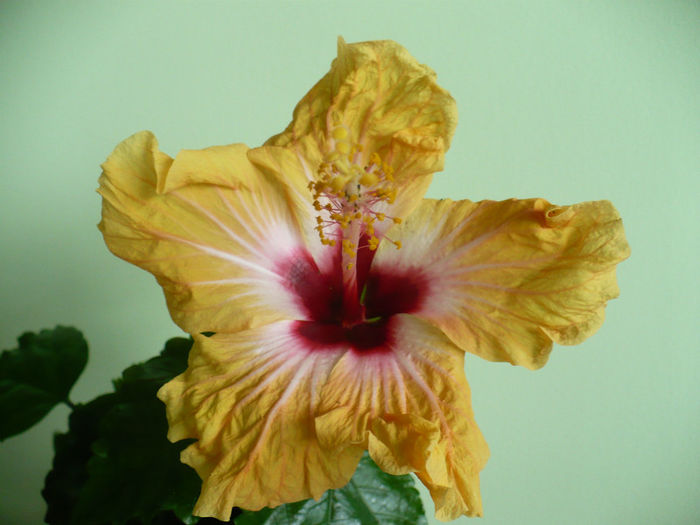 P1440252
