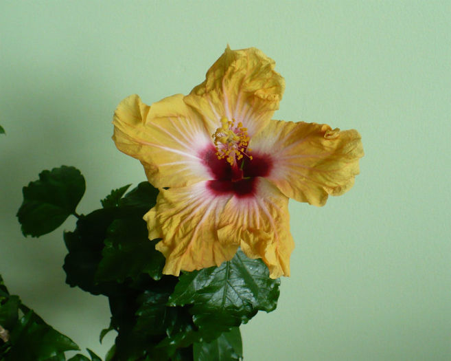 P1440254