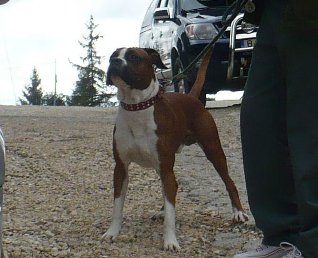 P1440202 crop - Bobby 2013