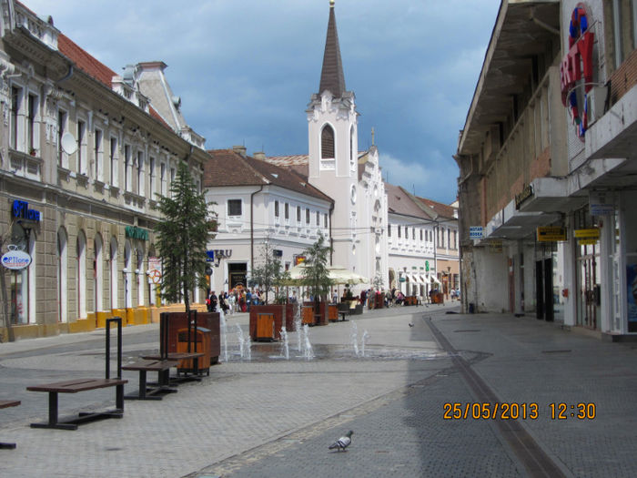 IMG_2044 - 2013 Oradea