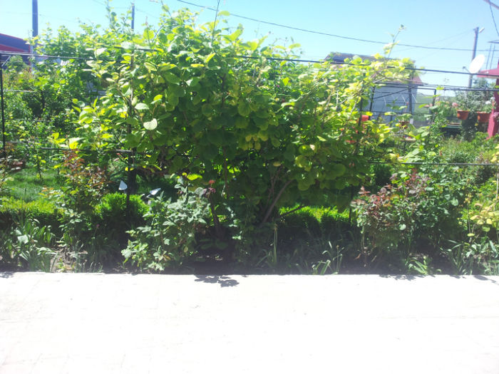 2013-05-10 13.38.47