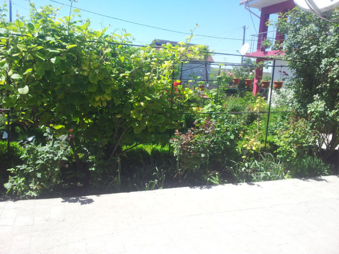 2013-05-10 13.38.51