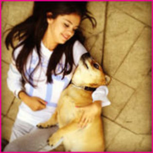 79584226_YJZZXVW3 - selena gomez si cainii ei