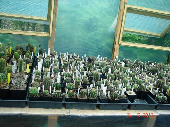 DSC01004