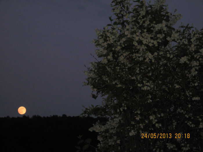de luna plina.....
