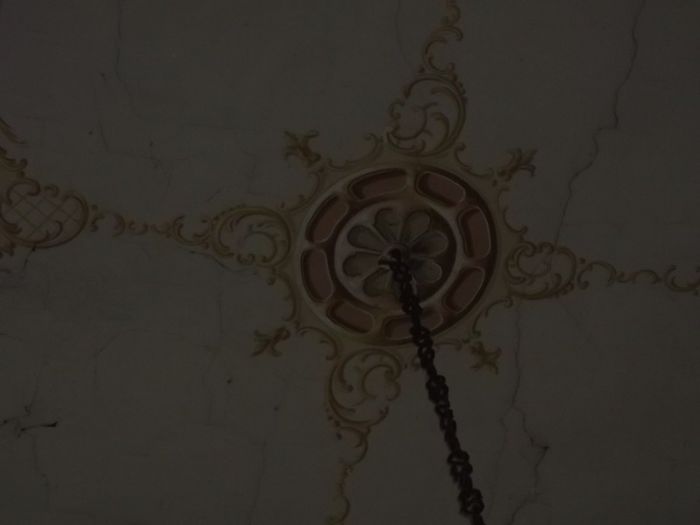 ................PESTE  VEACURI.....