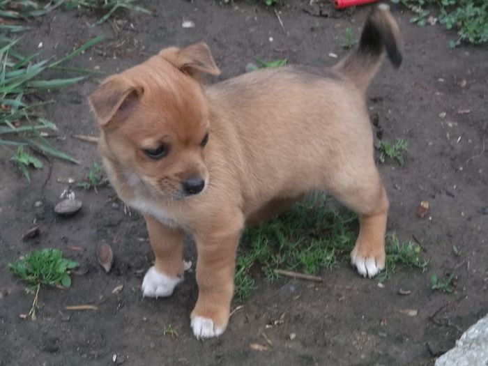 AAAAA, ESTE UN GANDACEL