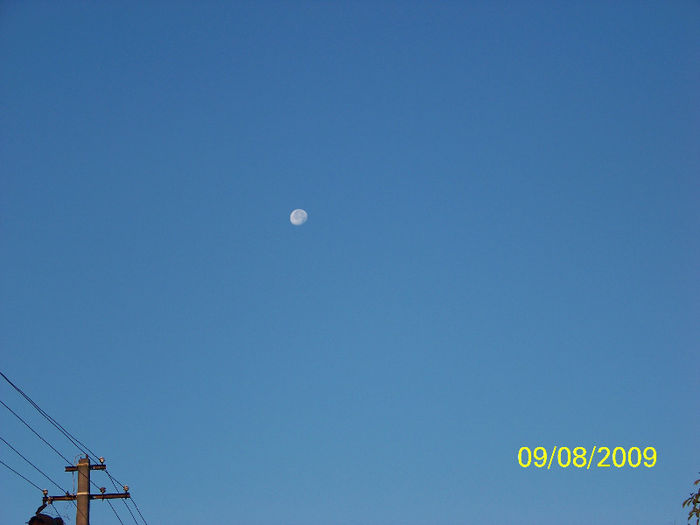 100_9548 - SPLENDORILE CERULUI 4