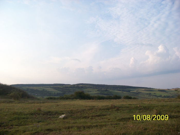 100_9578 - SPLENDORILE CERULUI 4