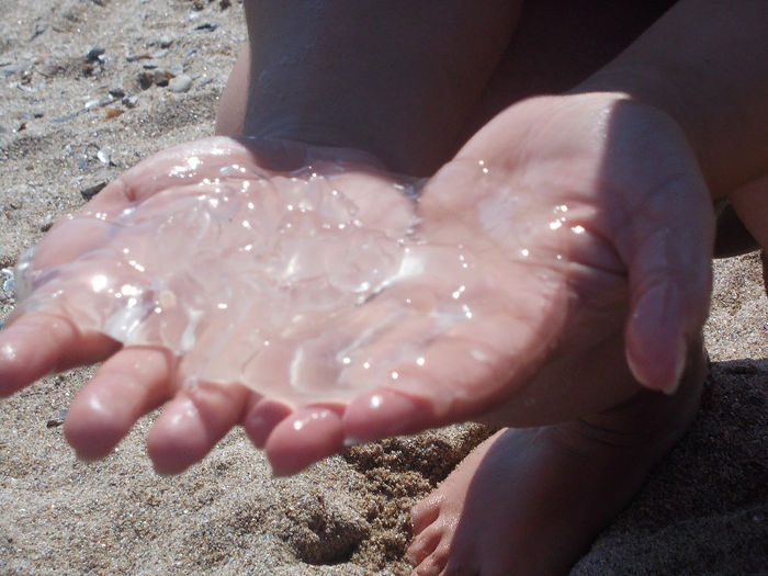 DSCN9034_4494 - Bucuresti-Costinesti cu trenul