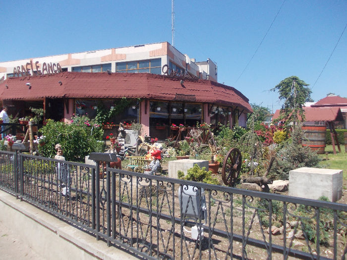 DSCN9067_4527 - Bucuresti-Costinesti cu trenul