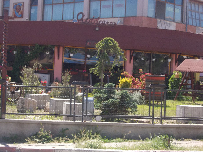 DSCN9083_4541 - Bucuresti-Costinesti cu trenul