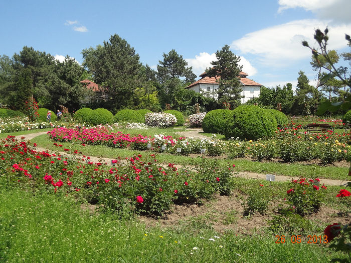 DSC03296 - Gradina Botanica Iasi