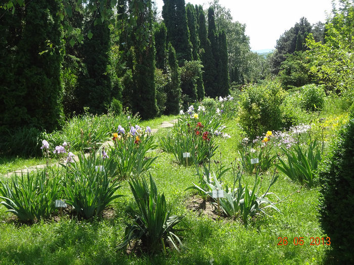 DSC03323 - Gradina Botanica Iasi