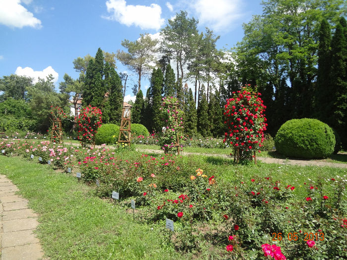 DSC03312 - Gradina Botanica Iasi