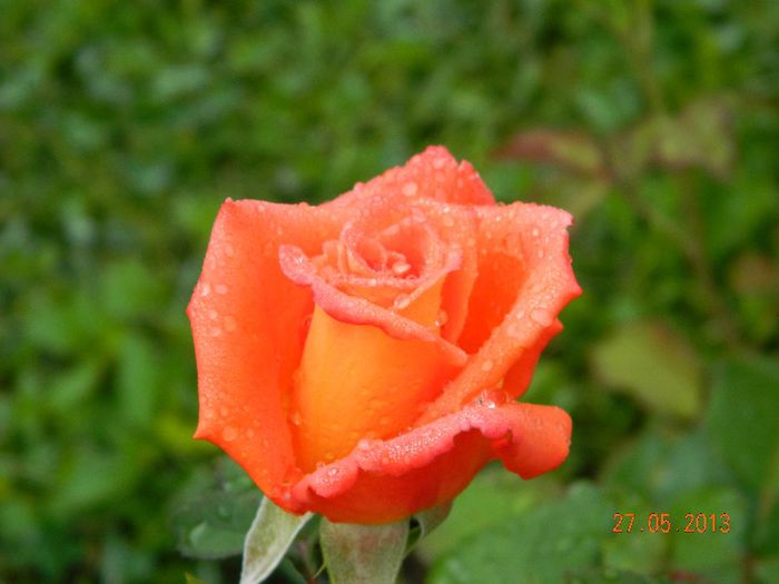 038