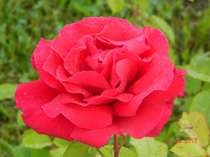 053