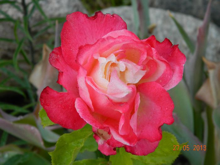 056