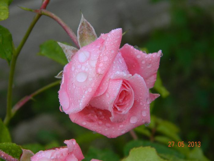 061