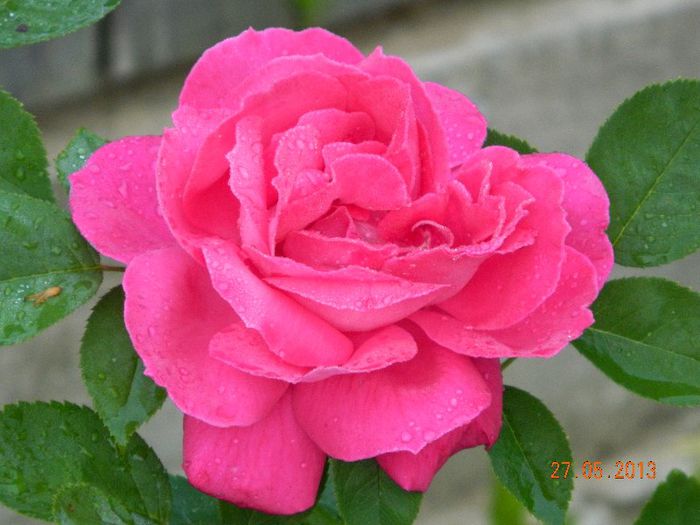 065