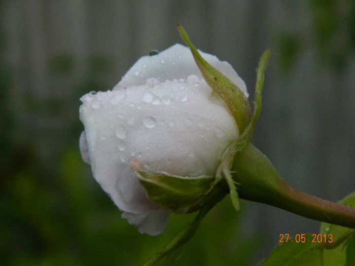 049