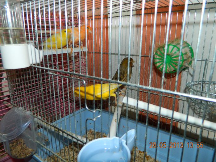 DSCN2732