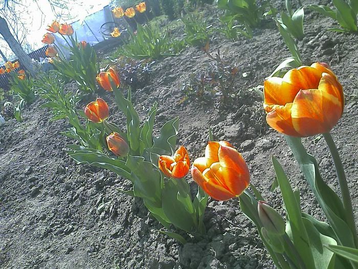 IMAGE_248