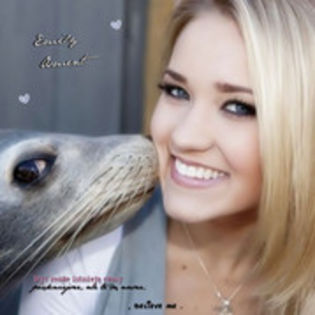 34316212_XIGWSIFKY - emily osmet glitter