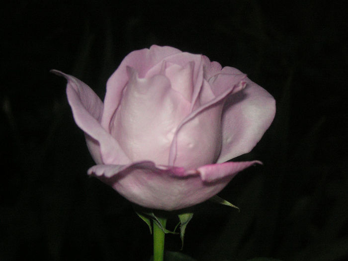 SANY0027