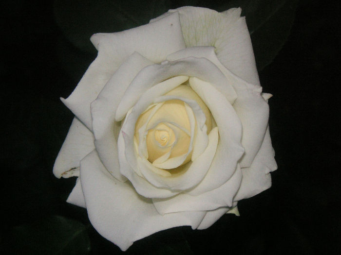 SANY0037