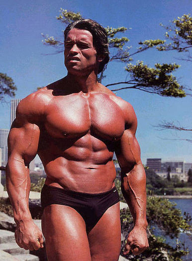 arnold-schwarzenegger8