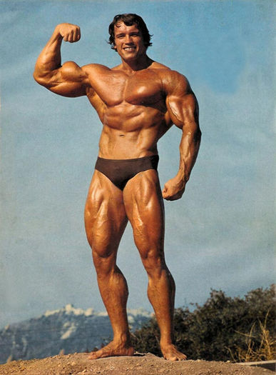 arnold - Arnold Schwarzenegger