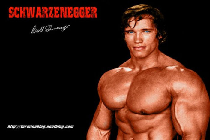 arnold-schwarzenegger-chest-workout-routine - Copy