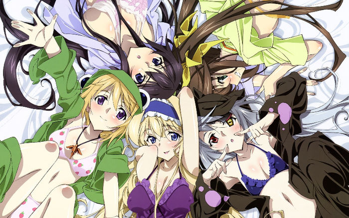 11_0406infinite_stratos0111 - Infinite Stratos