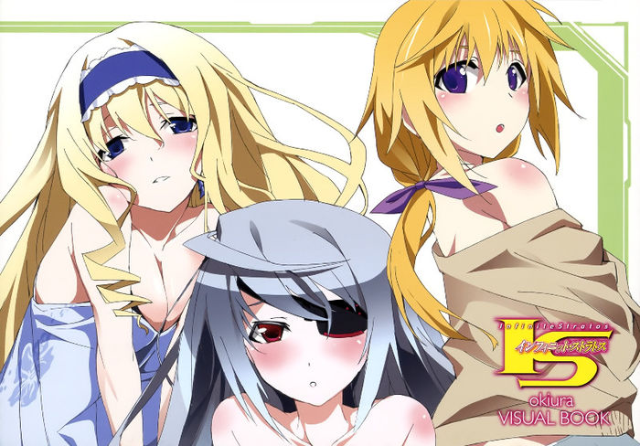 infinite_stratos_00020 - Infinite Stratos