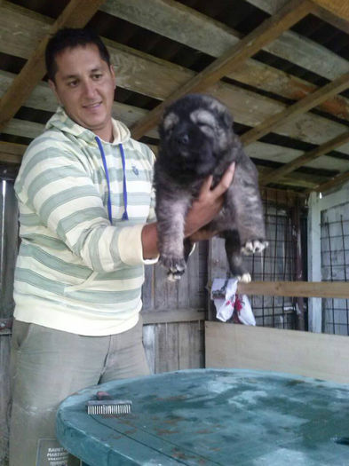 944184_434368256658836_1898996454_n