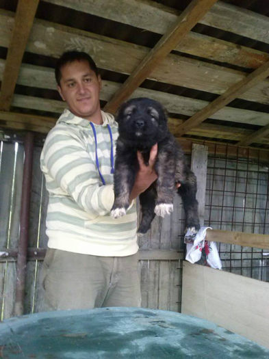 931332_434362506659411_1291274498_n