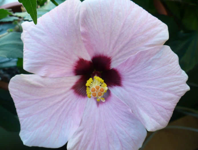 P1440280