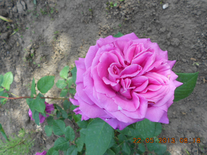 DSCN7956