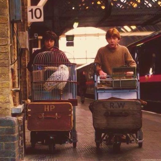 187 - Harry Potter si Camera Secretelor 2002
