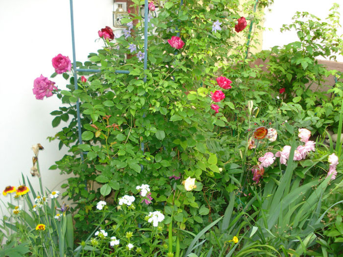 DSC07775