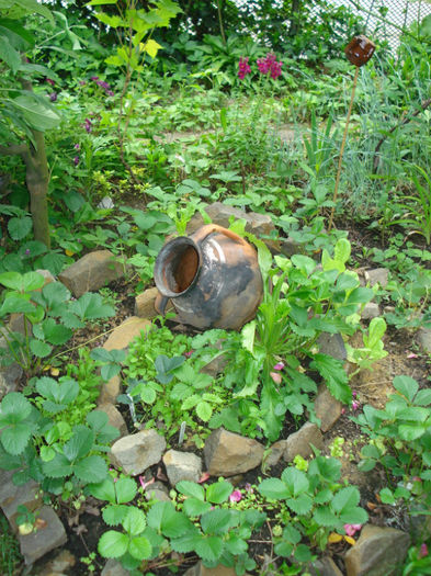 DSC07862