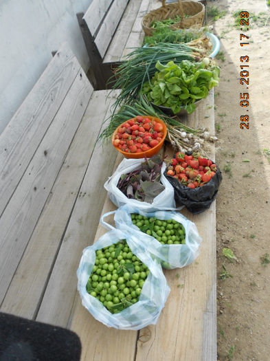 de toate de daruit la socri