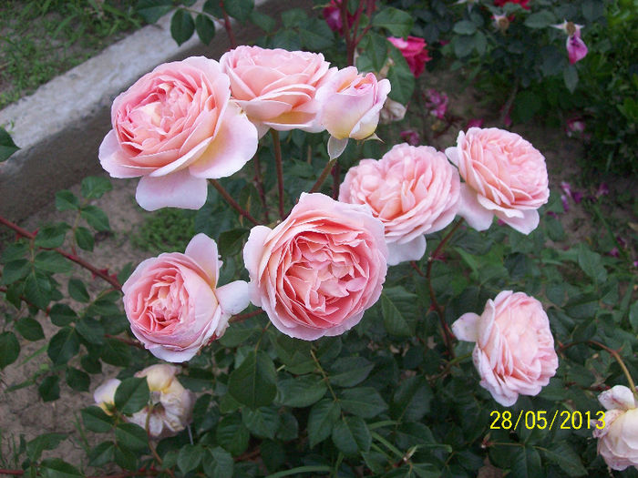 100_2340 - Abraham Darby