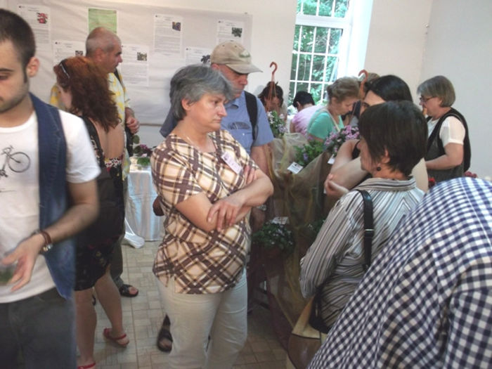 Expo ziua 3 (5) - EXPOZITIE VIOLETE AFRICANE SI ALTE GESNERIACEAE 10-12 MAI 2013