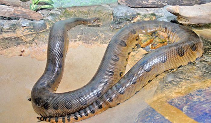 235_p_0866_p 235_p_0866_p