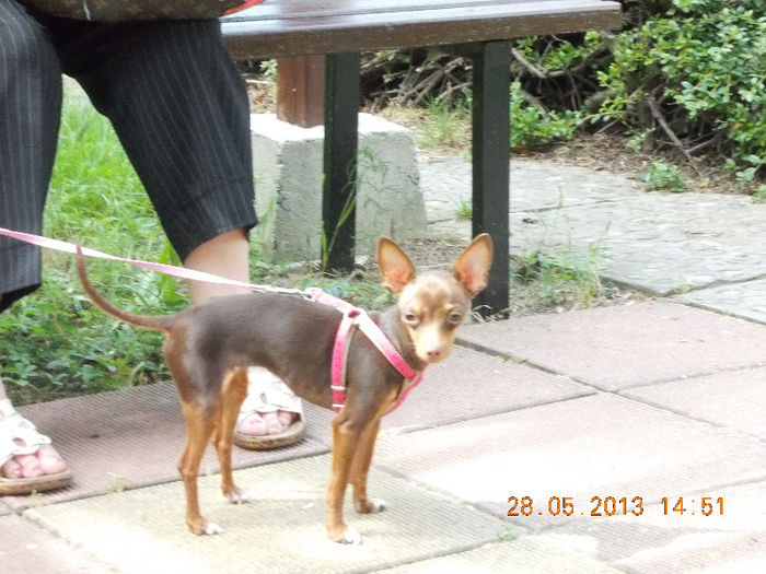nessebar bulgaria, mai 2013 010