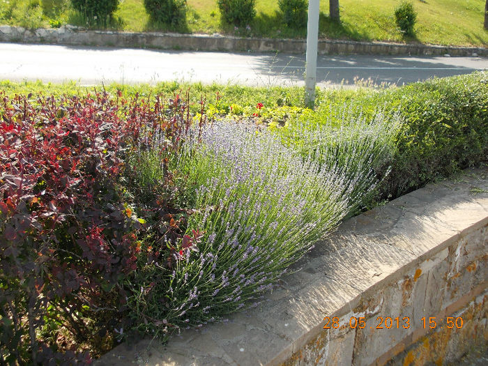 nessebar bulgaria, mai 2013