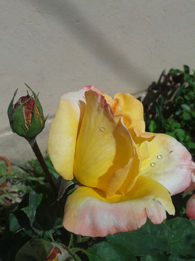 2013-05-27 11.15.57