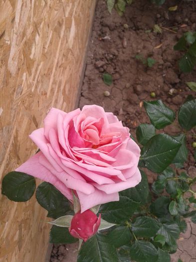 2013-05-29 12.23.57